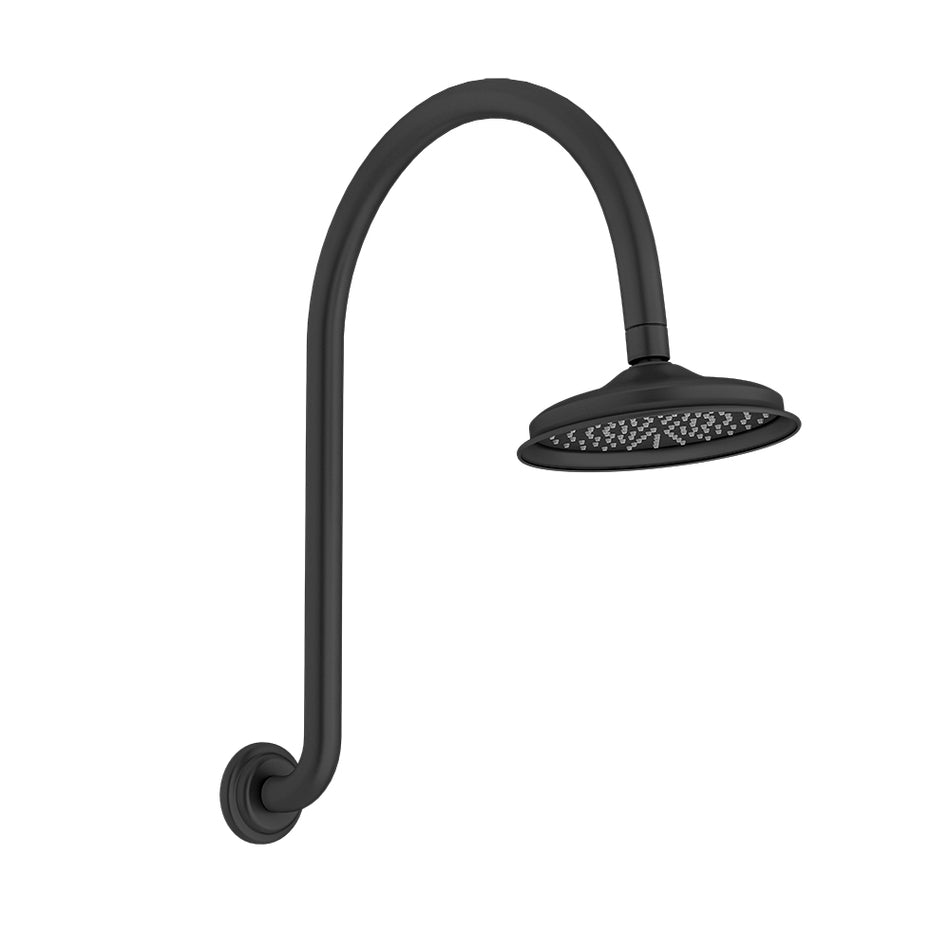 AUGUSTINE SHOWER HEAD & ARM