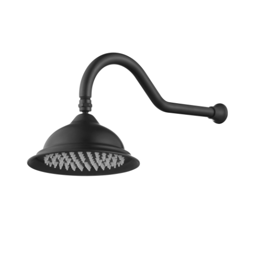 BORDEAUX SHOWER ARM & HEAD